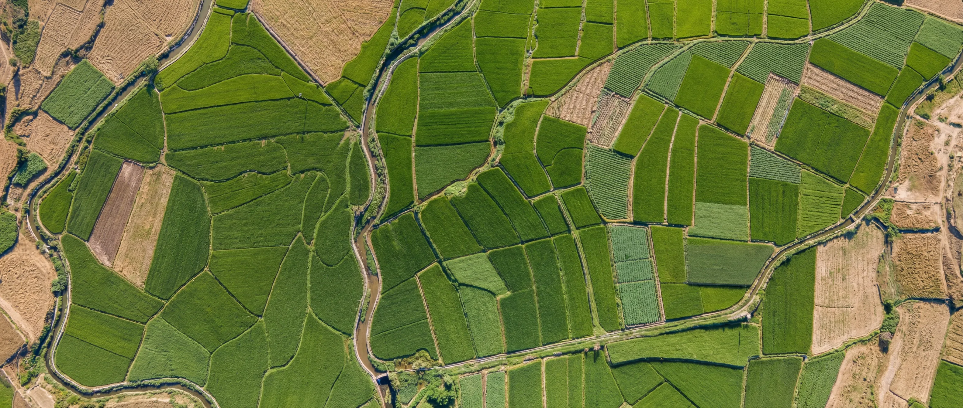 Investment Strategy Framework